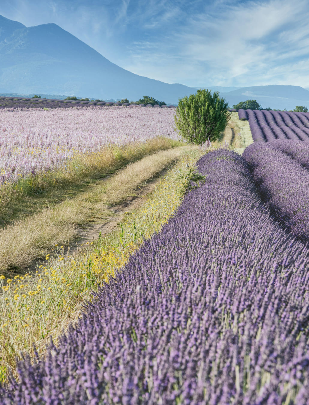 Idée de programme à Aix-en-Provence